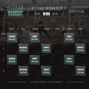 Cvičící plán pro trénink FITFAB WORKOUT MINI s aktivitami na každý den v týdnu.